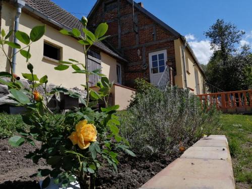 Kalkhorst House | Strandhaus Florimar