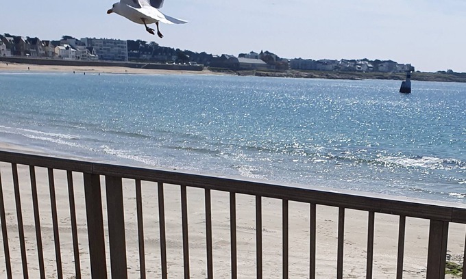 Quiberon Apartment | Studette (18m 2) 20 m from Quiberon's main beach