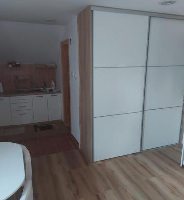 Kolasin Apartment | Studio apartman Lena