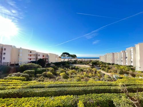 Sete Apartment | Studio cabine rénové avec ascenseur et parking, à 30m de la plage - FR-1-338-547