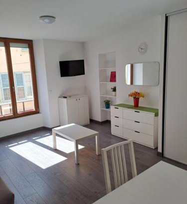 Vizille Apartment | STUDIO CENTRE HISTORIQUE