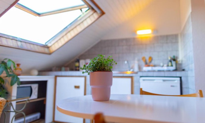 Belfort Apartment | Studio cocon sous les toits de Jaurès