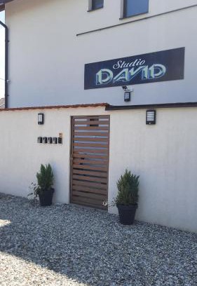 Sibiu Apartment | *Studio David*
