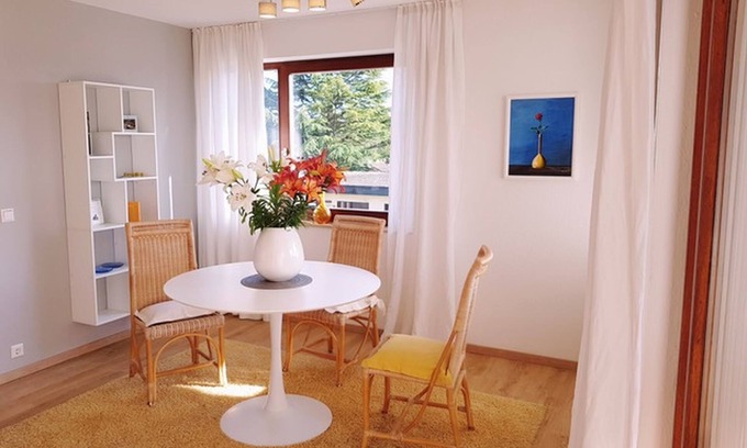 Bad Bellingen Apartment | Studio 'Die Ferienwohnung' with Private Terrace and Wi-Fi