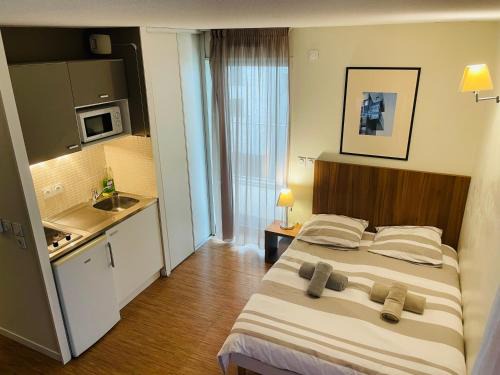 Perrache Apartment | Studio Harmonie Confluence Lyon City et piscine chauffante