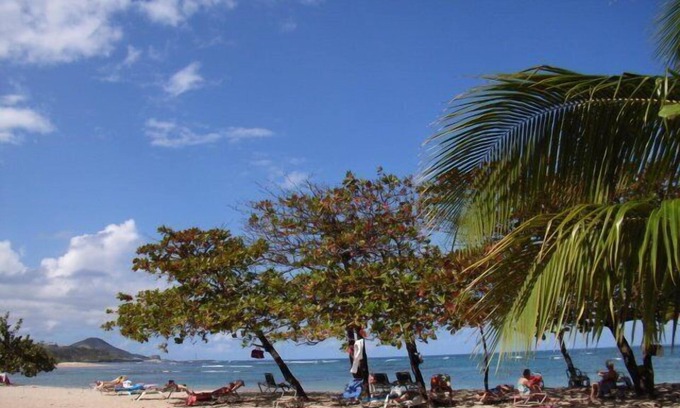 Costambar Apartment | studio in a tropical garden close to the beautiful beach