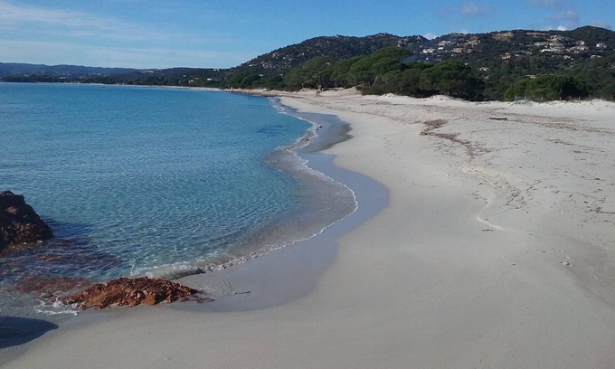 Hameau de Palombaggia Apartment | STUDIO IN PALOMBAGGIA FOR 2 PERS UNDER 700 M FROM THE AIR-CONDITIONED BEACH