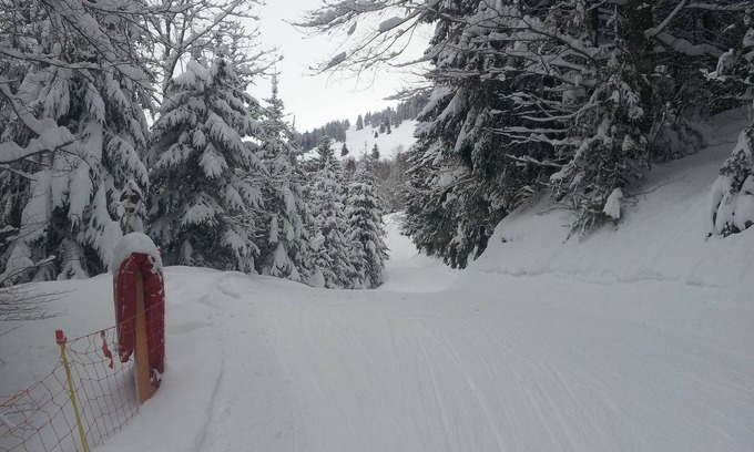 Hirmentaz Apartment | Studio in the mountains at the foot of the ski slopes