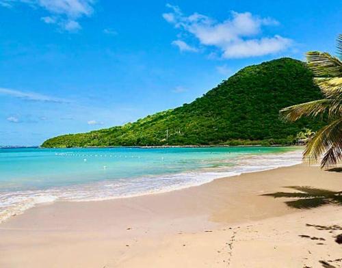 Anse Marcel Apartment | studio :paradise beach