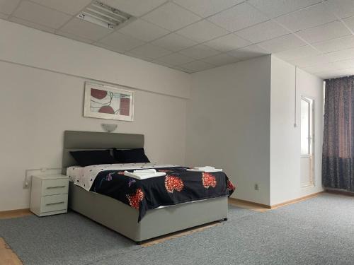 Onesti Apartment | Studio Rentals