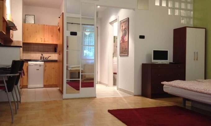 Erzsebetvaros Apartment | Studio, terrace, WIFI. Public garage in the same street. In Downtown.
