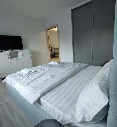 Vata de Jos Apartment | Studio Vata