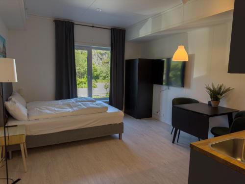 Svolvaer Apartment | Studio Vestermyrveien, Svolvær