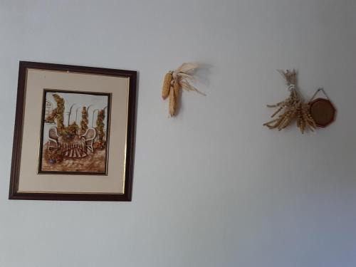 Permet Apartment | Studio with garden