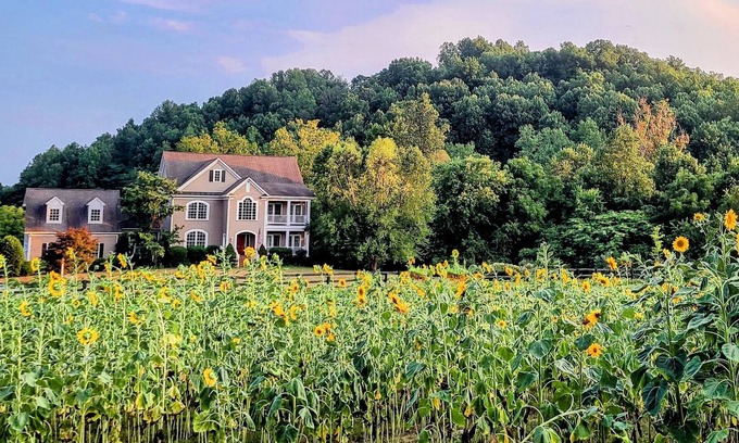 Afton Apartment | Studio with mountain views and private entrance near wineries and hiking
