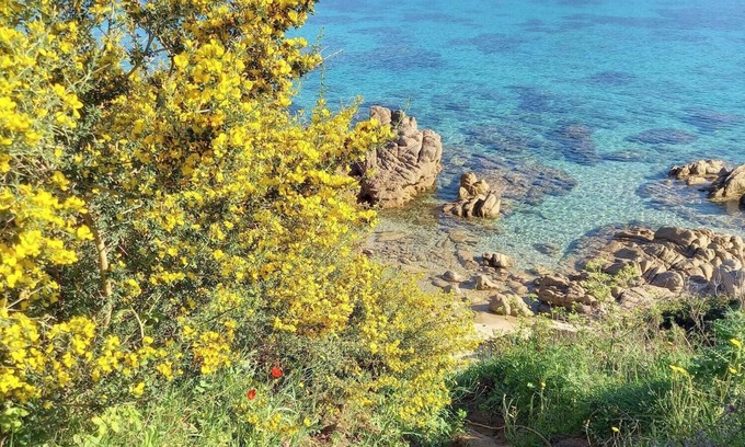 Propriano Apartment | Studio with sea view and parking 2 steps from downtown