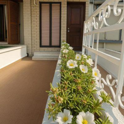 Nea Playia House | StudioAretiCom Anogio with private Veranda In Front Of The Lovely Sea For Rent in Nea Plagia Chalkidiki Greece PlagiaStudiosEu