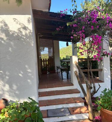 Arzachena Apartment | Su Laru