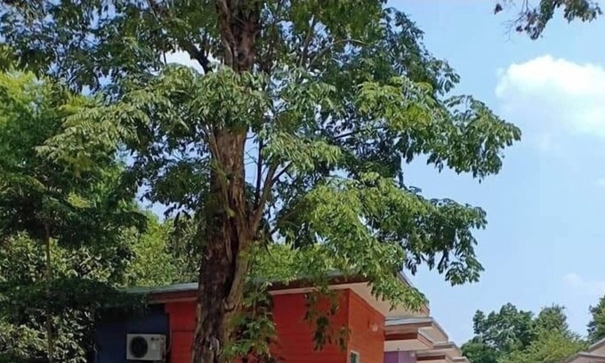 Ubon Ratchathani Resort | Sudachat Resort