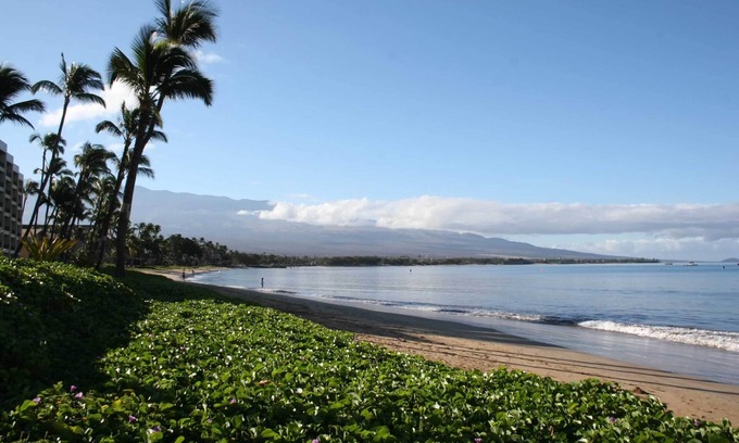 Kihei Condo | Sugar Beach Maui! Direct Ocean Front! Best View! Best Value!
