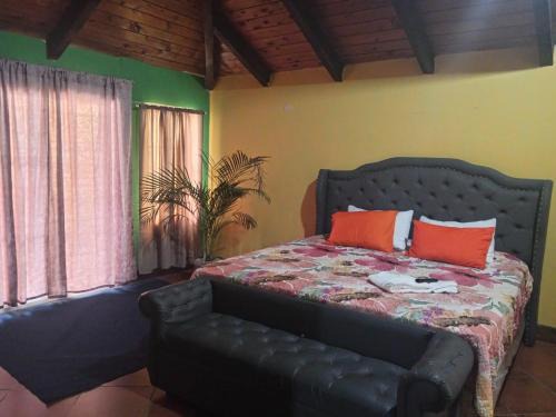 Jalapa House | Suhé