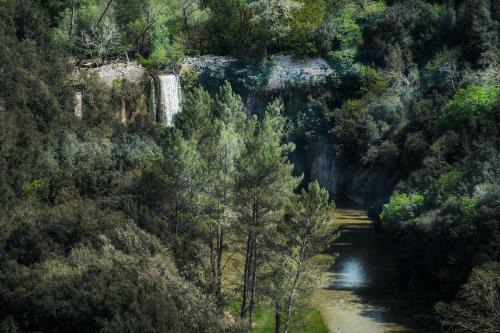 Amelia Apartment | Suite Paradiso Umbria 15 minutes A1 Rome 1 hour