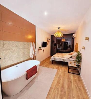 Albi Apartment | Suite parentale avec parking