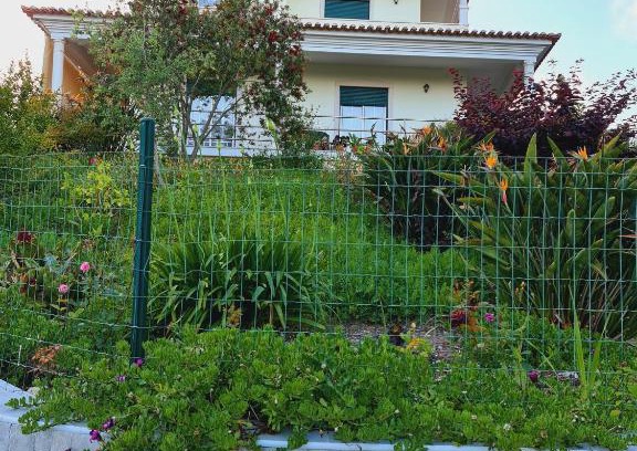 Ferraria House | Suites Milhariça