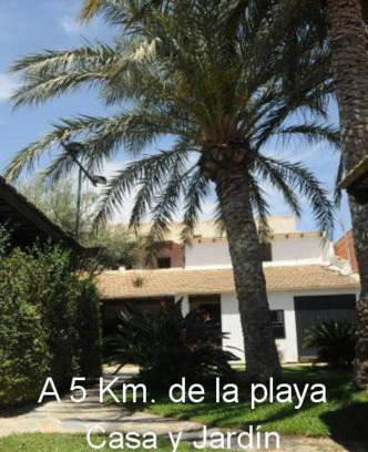 Los Arenales del Sol House | Sun & Palm Trees