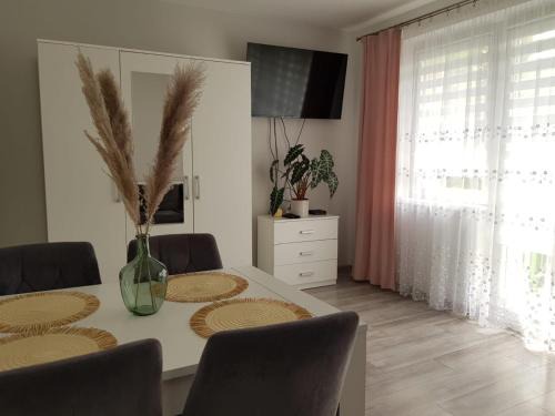 Lodz Apartment | Sunny Boat Apartment