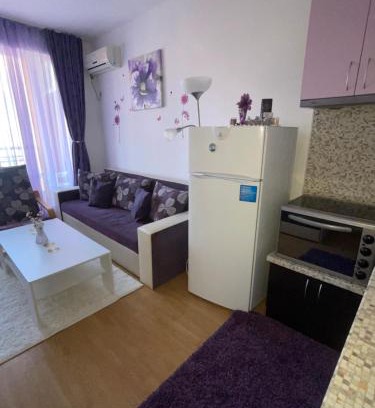 Tankovo Apartment | Sunny Day 6
