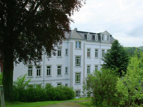 Grunhainichen Villa | Sunny Escape in Borstendorf, cleaning included