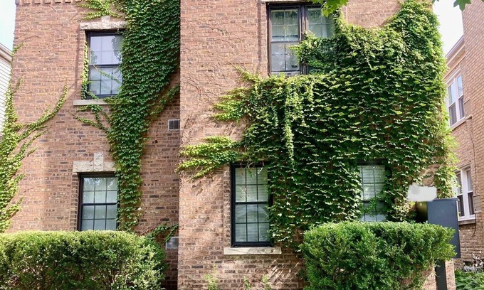 Evanston Apartment | Sunny Evanston Studio: Stylish Decor, Hardwood Floors, Fenced Yard & Parking
