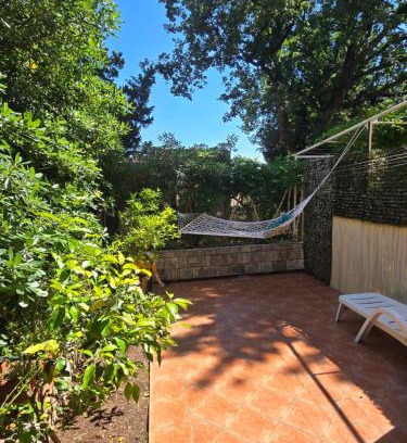 Petrovac Apartment | Sunny Lemon Garden