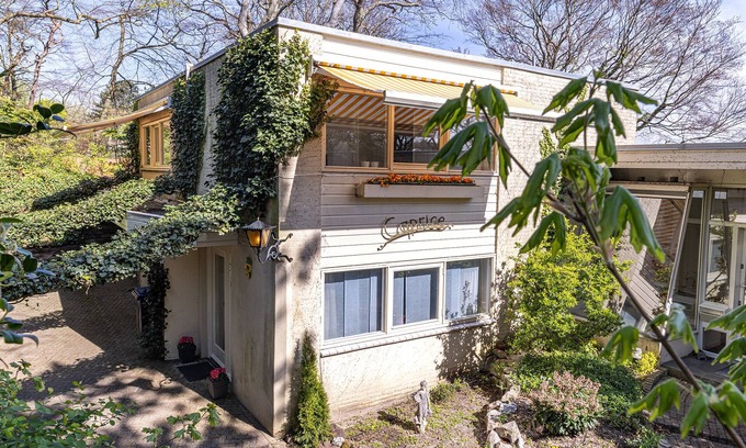 Bloemendaal Apartment | Sunny Quiet Apartment on Dune, Bloemendaal, Amsterdam (20Min) and Sea (5min)