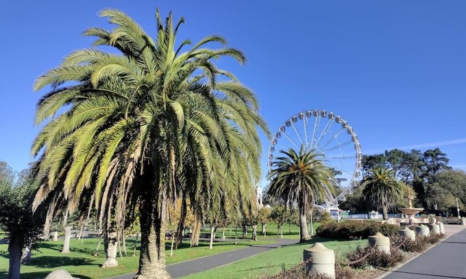 Central Richmond Apartment | Sunny SF home, quiet, convenient w/parking