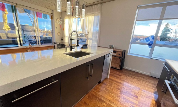 De Lorimier Condo | Sunny & Zen Penthouse, Plateau Mt-Royal, indoor parking, elevators