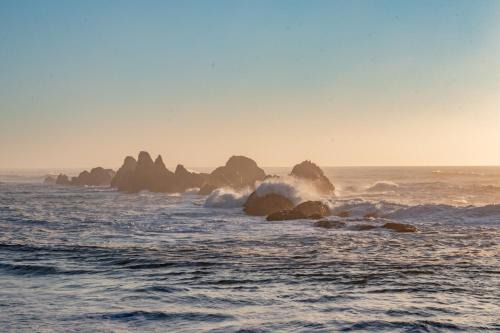 Seal Rock Apartment | Sunset Hideaway