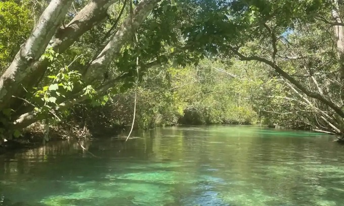 Weeki Wachee Gardens House | Sunset Shanty in Weeki Wachee Fl with full RV hookup.