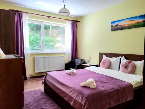 Sinaia Apartment | Sunshine