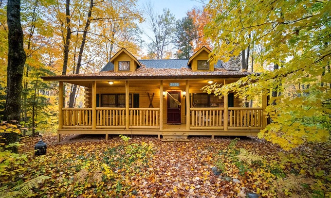 Alanson Cabin | Super Cozy, A/C, steps from trails, kid friendly