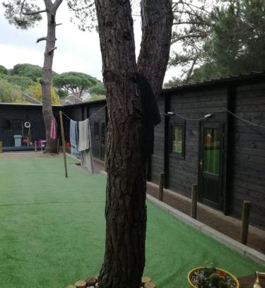 Charneca de Caparica e Sobreda Cabin | Surf Camp Ecológico