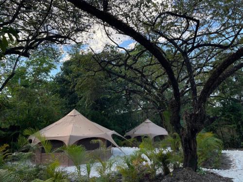 Mal Pais Other | SurFreak Backyard Glamping CoWorking Experience