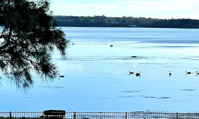Charmhaven House | Swan Lake House - Waterfront Home