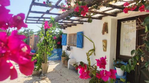 San Leonardo House | Sweet Old House