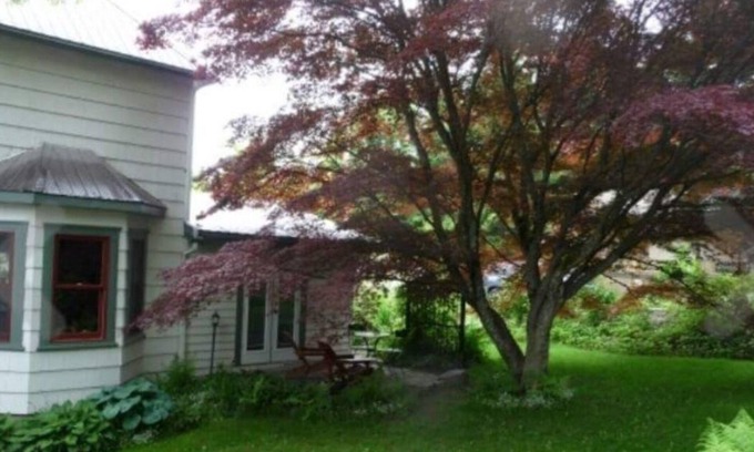 Nelson Apartment | Sweet private studio just minutes from the downtown core.