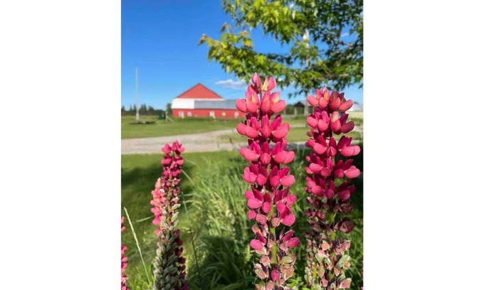 Hessel House | Sweet Winds Michigan Upper Peninsula Farm