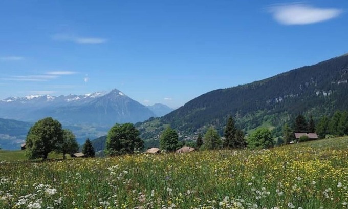 Bangerten Apartment | @swissmountainview: holidayhome with amazing views