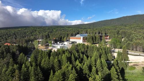 Osmangazi Hotel | Swissotel Uludag Bursa