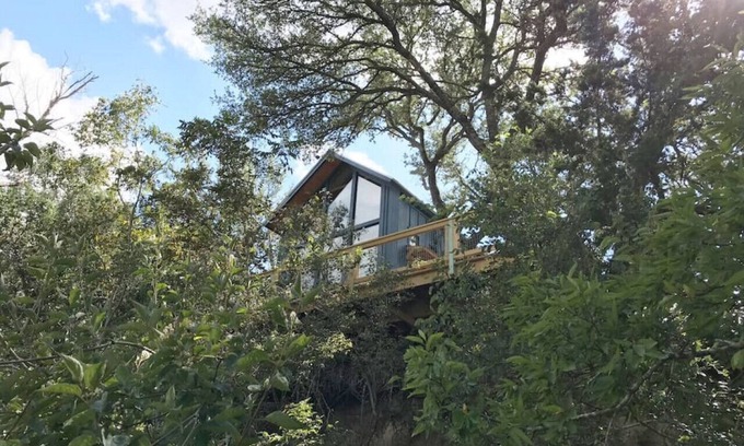 Fredericksburg Cabin | Sycamore Treehouse at The Meadow by HoneyTree